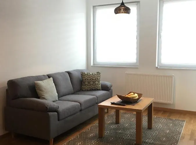 Fantastic De Lux 公寓 塞拉耶佛